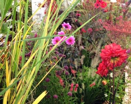 Gespot op de Woonbeurs in 2012, deze spannende plantencombinatie. 