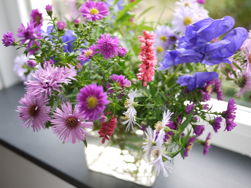 Boeket van verschillende Asters, Persicaria, Aconitum