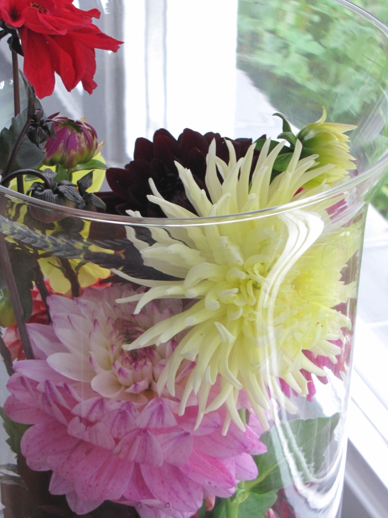 Verschillende soorten Dahlia's in een grote glazen vaas.