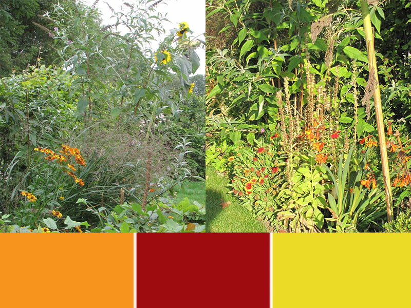 Hoe groter het contrast in bladvorm en kleur, des te spannender.