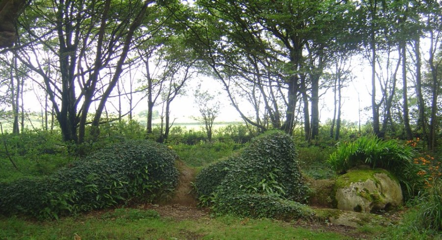 Green Sleeping beauty 