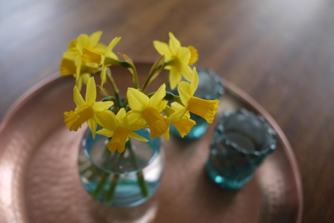 tete a tete narcis geel