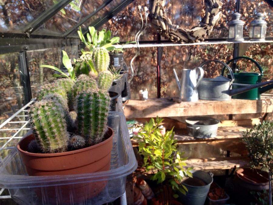 winter tuinkas green house tuin garden