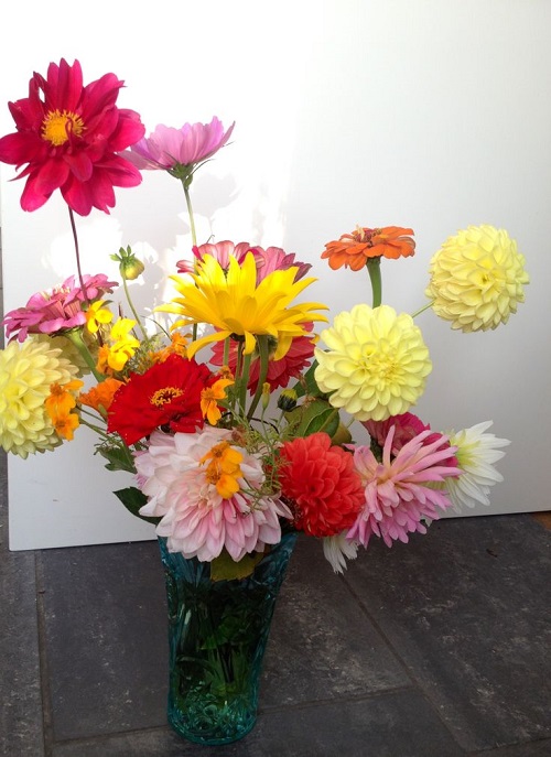 Dahlia bouquet