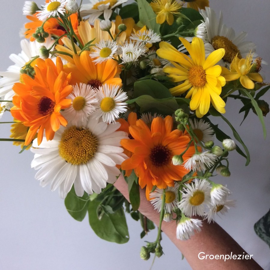 plakbloem geel oranje wit