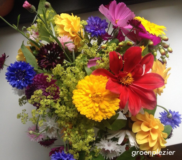 tuinbloemen_goudsbloem_korenbloem_dahlia-gp