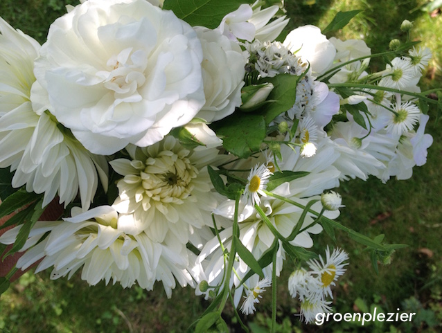 white_flower_bouquet_garden_gp