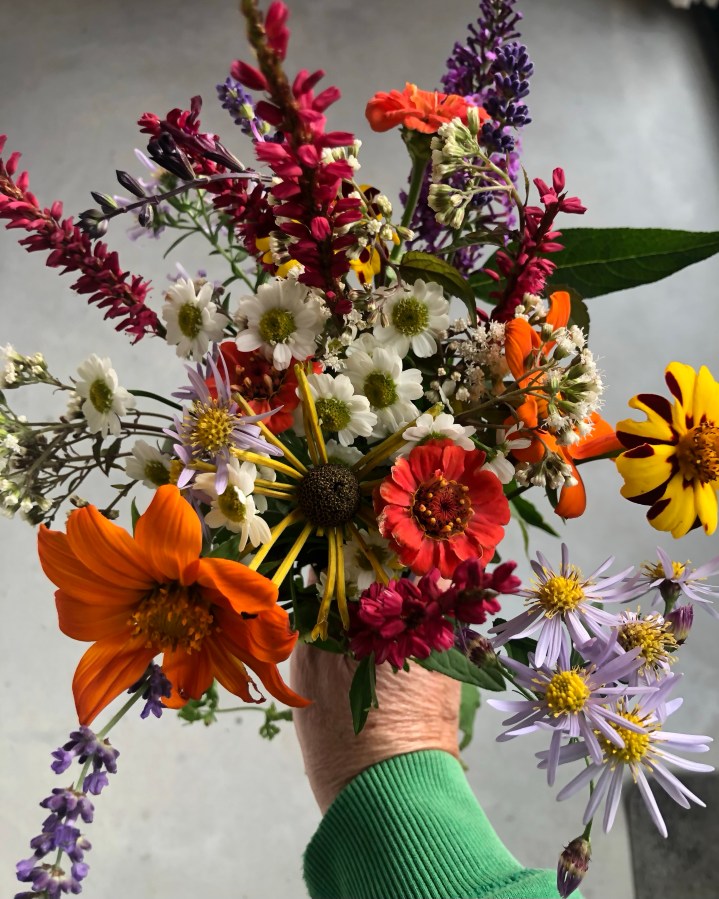 Pluktuin boeket van bloemen in allerlei kleuren